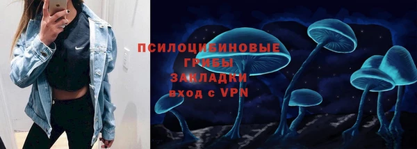 стафф Пролетарск