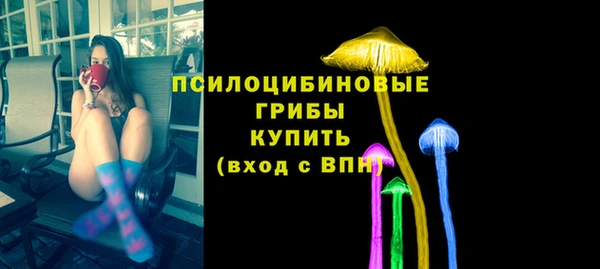 стафф Пролетарск