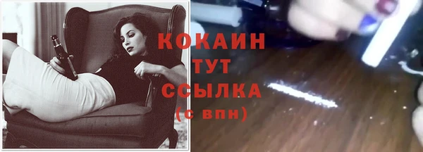 гашик Протвино