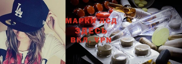 стафф Пролетарск